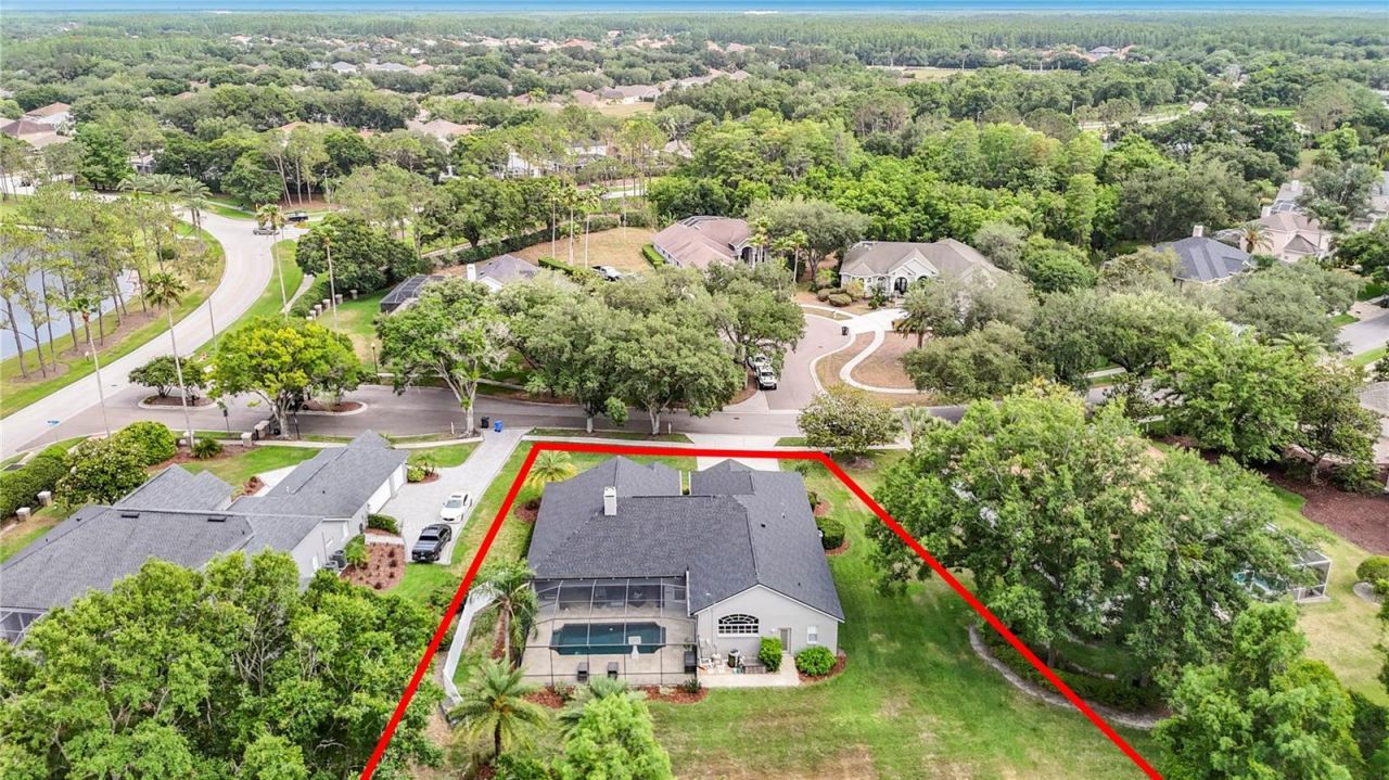 19128 Centre Rose Boulevard, Lutz, FL 33558 Photo