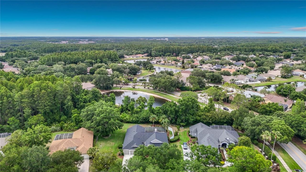 19128 Centre Rose Boulevard, Lutz, FL 33558 Photo