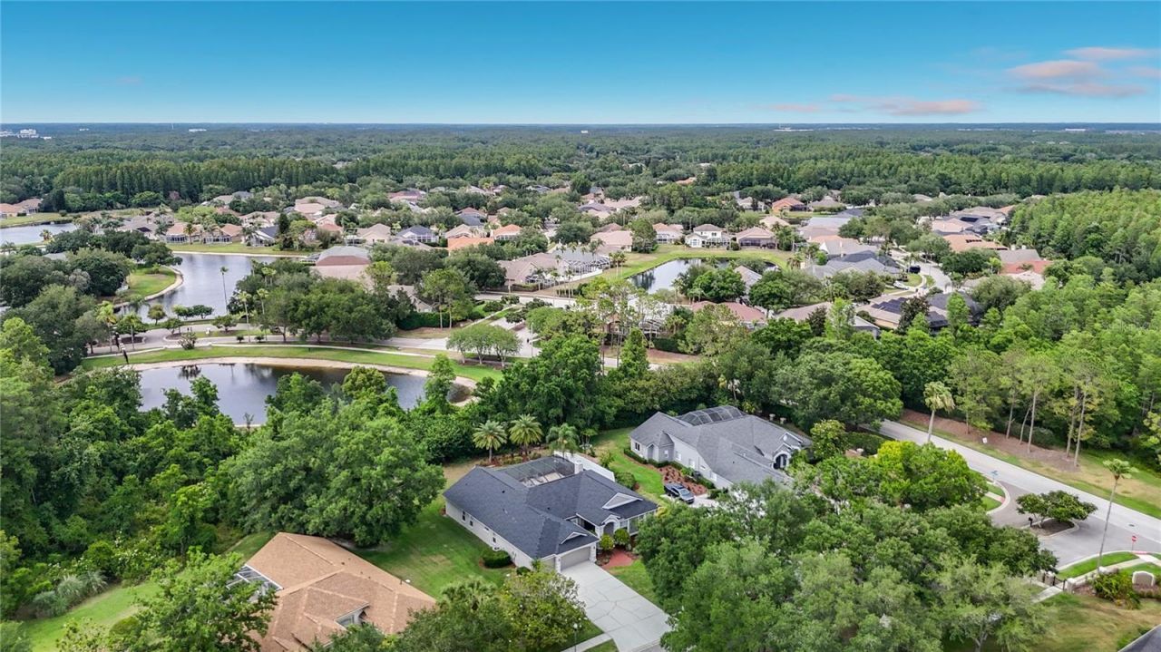 19128 Centre Rose Boulevard, Lutz, FL 33558 Photo