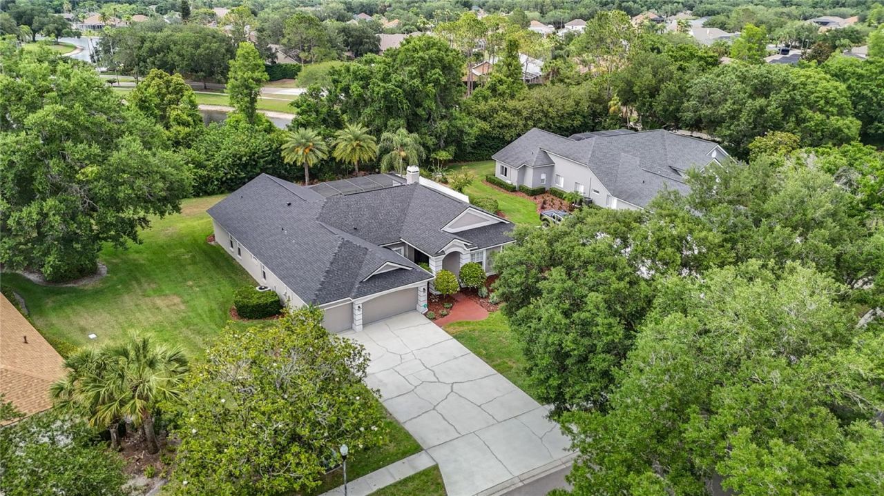 19128 Centre Rose Boulevard, Lutz, FL 33558 Photo