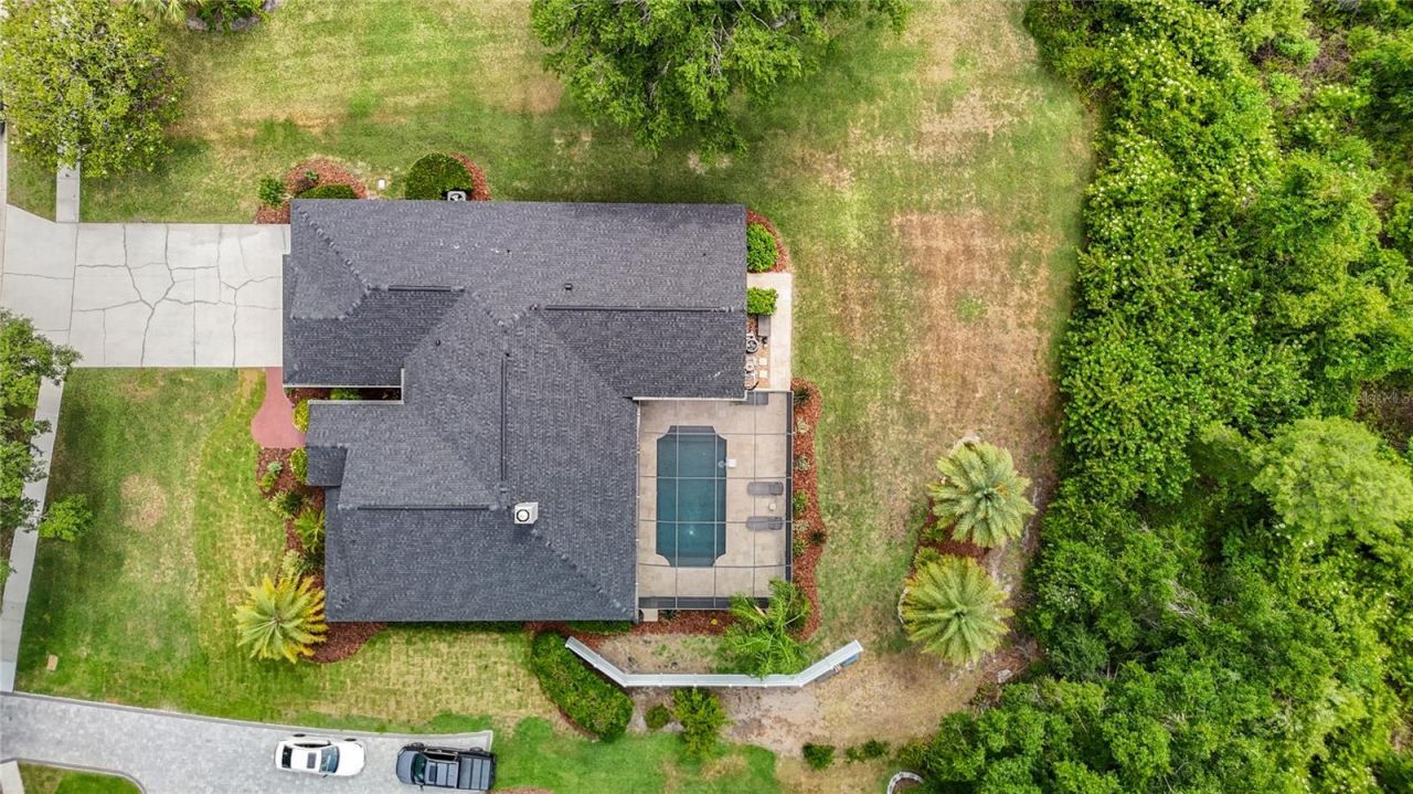 19128 Centre Rose Boulevard, Lutz, FL 33558 Photo