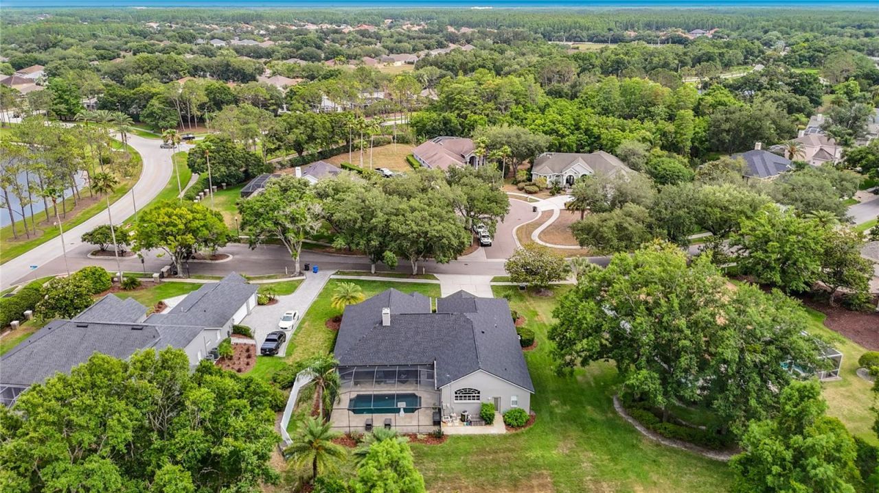 19128 Centre Rose Boulevard, Lutz, FL 33558 Photo
