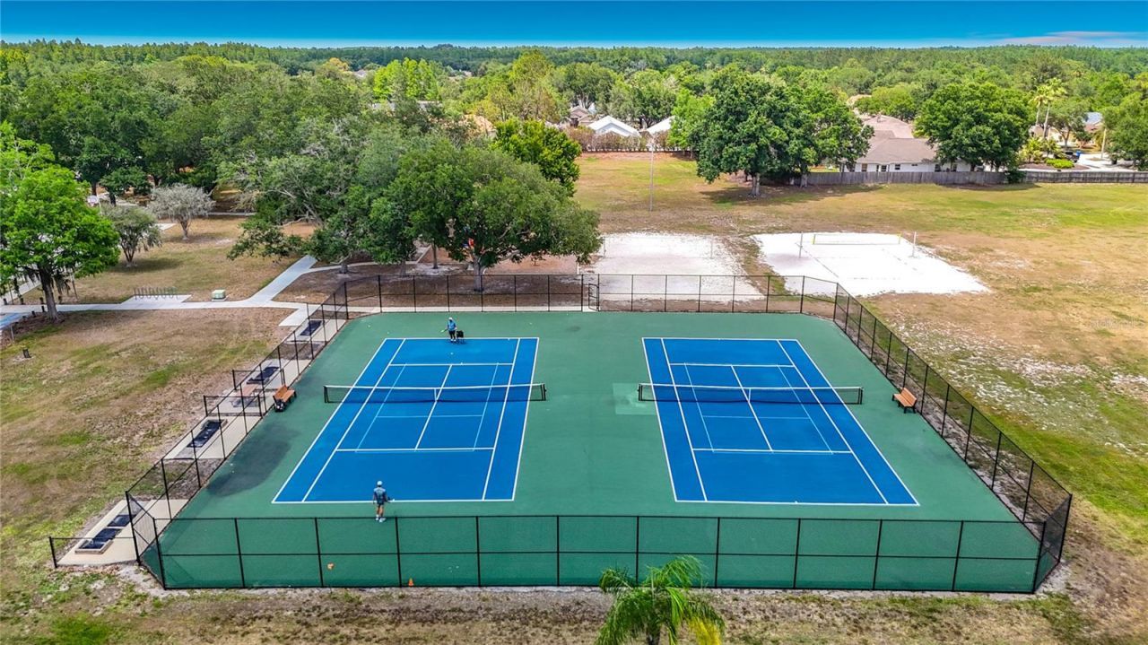 19128 Centre Rose Boulevard, Lutz, FL 33558 Photo