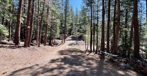 955 Shady Lane, Clio, CA 96106 Photo