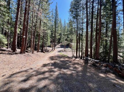 955 Shady Lane, Clio, CA 96106 Photo