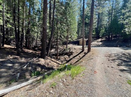 955 Shady Lane, Clio, CA 96106 Photo