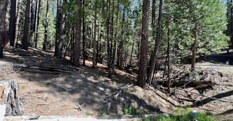 955 Shady Lane, Clio, CA 96106 Photo