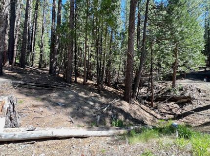 955 Shady Lane, Clio, CA 96106 Photo