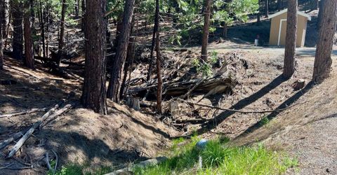 955 Shady Lane, Clio, CA 96106 Photo