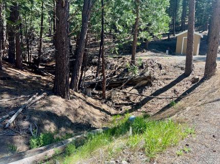 955 Shady Lane, Clio, CA 96106 Photo