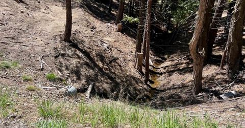 955 Shady Lane, Clio, CA 96106 Photo