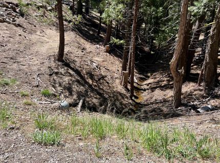 955 Shady Lane, Clio, CA 96106 Photo