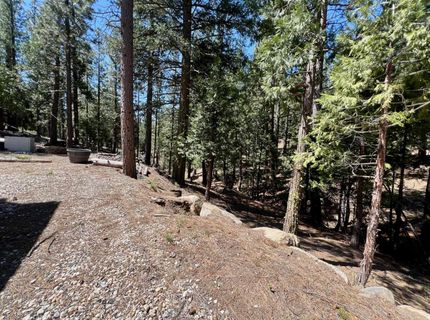 955 Shady Lane, Clio, CA 96106 Photo