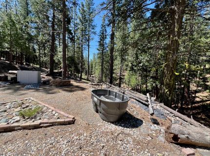 955 Shady Lane, Clio, CA 96106 Photo