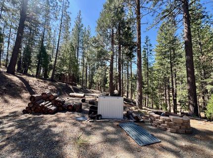 955 Shady Lane, Clio, CA 96106 Photo