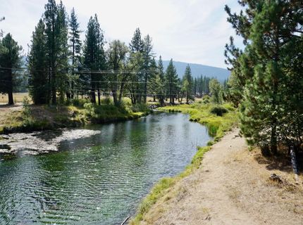 955 Shady Lane, Clio, CA 96106 Photo