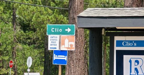 955 Shady Lane, Clio, CA 96106 Photo