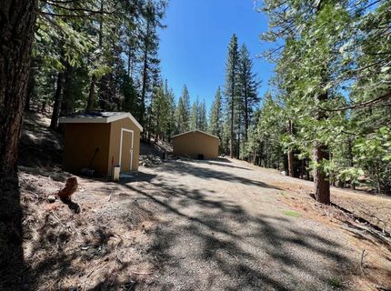 955 Shady Lane, Clio, CA 96106 Photo