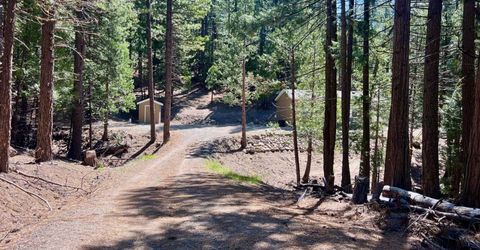 955 Shady Lane, Clio, CA 96106 Photo