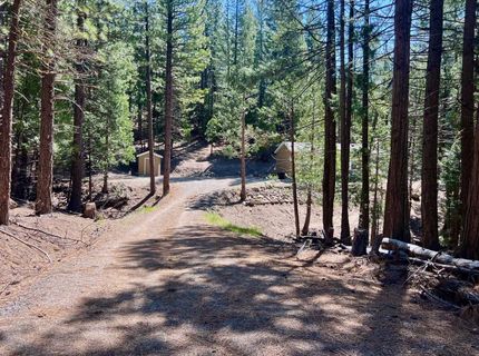 955 Shady Lane, Clio, CA 96106 Photo