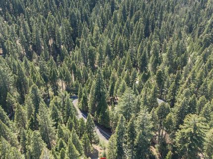 4522 Jibway Dr, Camp Connell, CA 95223 Photo