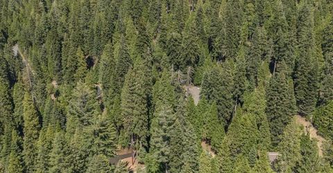 4522 Jibway Dr, Camp Connell, CA 95223 Photo