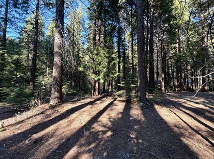 184 Creekside Dr, Camp Connell, CA 95223 Photo