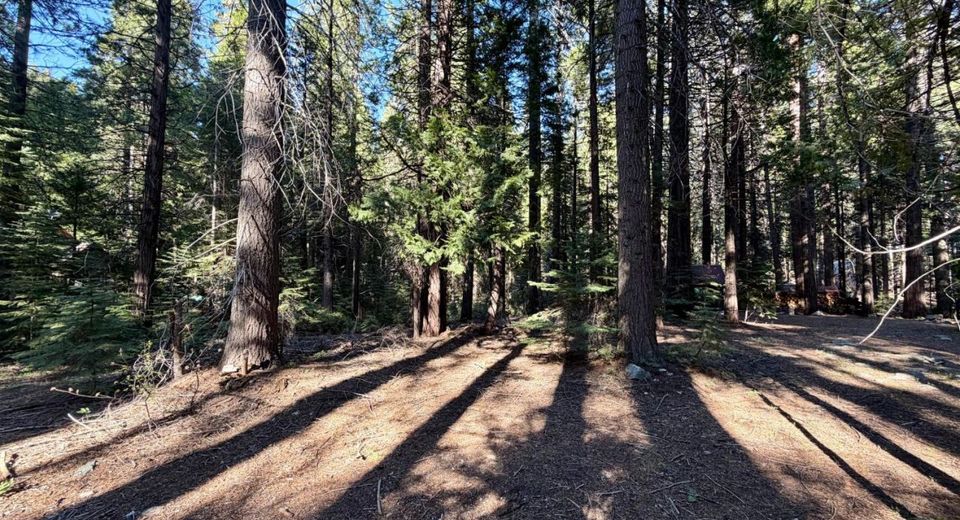 184 Creekside Dr, Camp Connell, CA 95223 Photo
