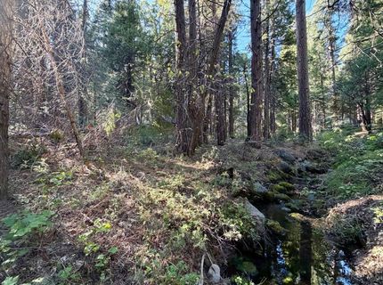 184 Creekside Dr, Camp Connell, CA 95223 Photo