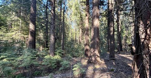 184 Creekside Dr, Camp Connell, CA 95223 Photo