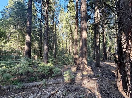 184 Creekside Dr, Camp Connell, CA 95223 Photo