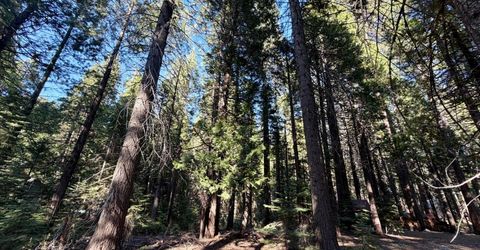 184 Creekside Dr, Camp Connell, CA 95223 Photo