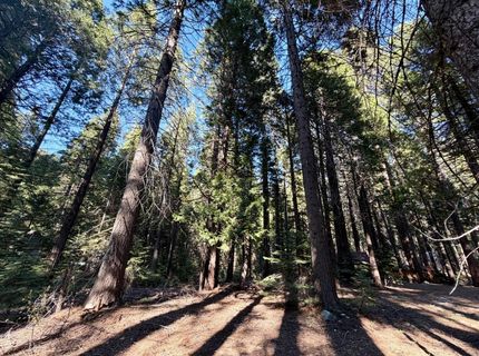 184 Creekside Dr, Camp Connell, CA 95223 Photo