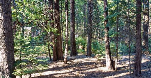 184 Creekside Dr, Camp Connell, CA 95223 Photo