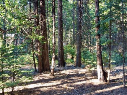 184 Creekside Dr, Camp Connell, CA 95223 Photo