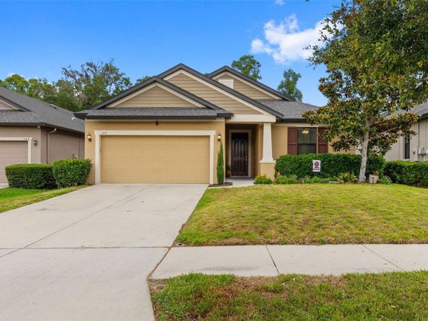 107 ELINA SKY DRIVE, SEFFNER, FL 33584