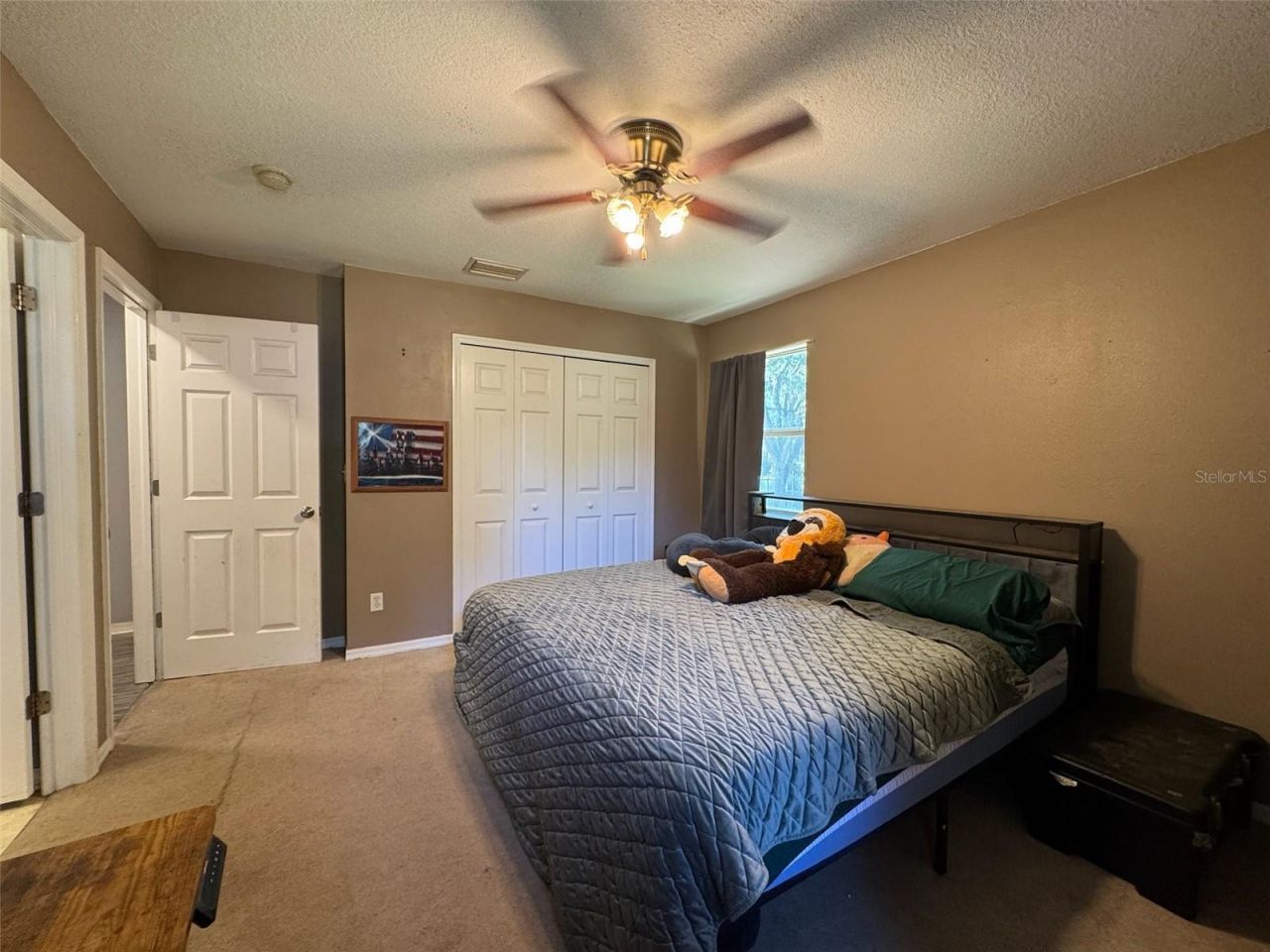38932 Central Avenue, Zephyrhills, FL 33540 Photo
