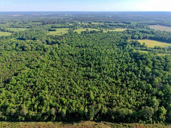 000 Nevada Road 107 , Bodcaw, AR 71858