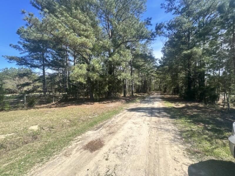0 Santee Lumber Road Photo 10