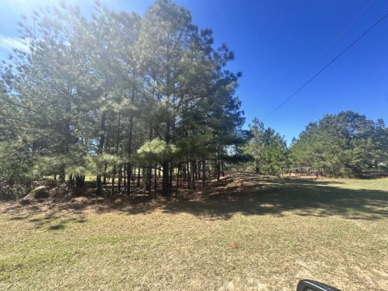 0 Santee Lumber Road Photo 4
