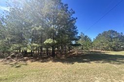 0 Santee Lumber Road photo 4