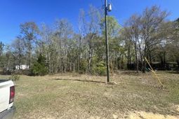 0 Santee Lumber Road photo 4