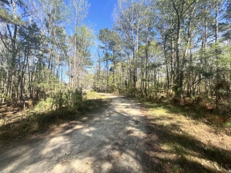 0 Santee Lumber Road Photo 7