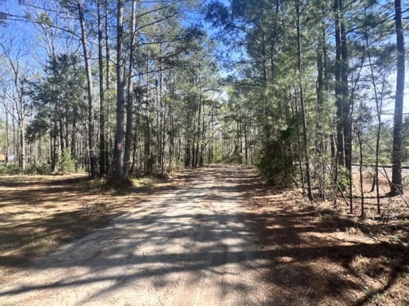 0 Santee Lumber Road Photo 8