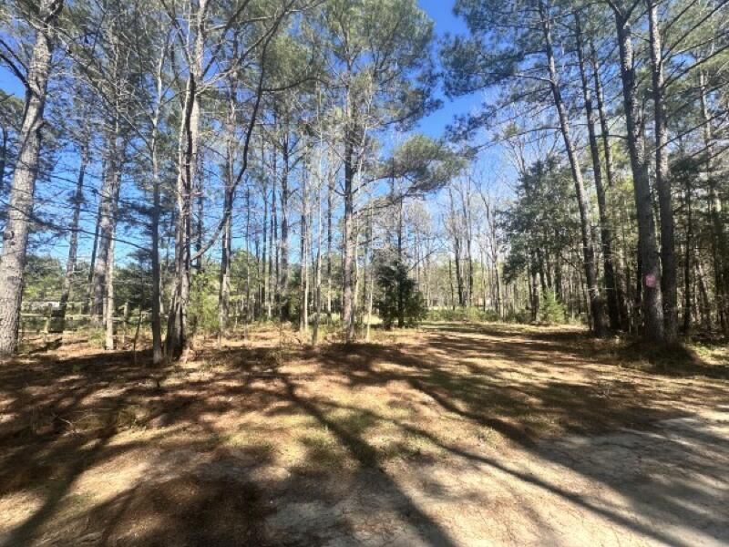 0 Santee Lumber Road Photo 9