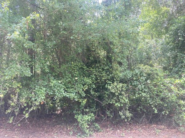 327 Palm Way, Georgetown, FL 32139