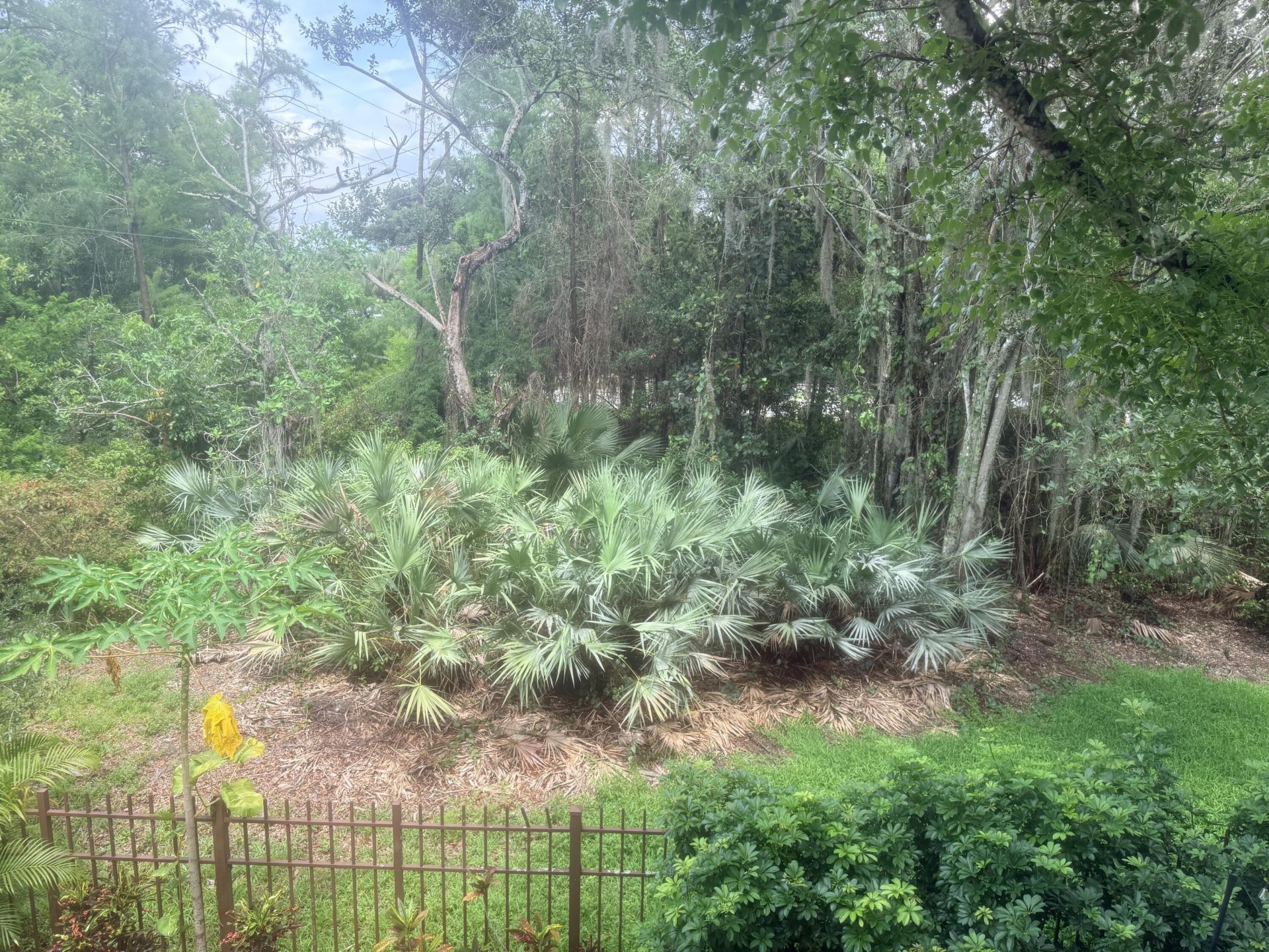 3307 Merrick Lane, Unit 1004, Margate, FL 33063 Photo