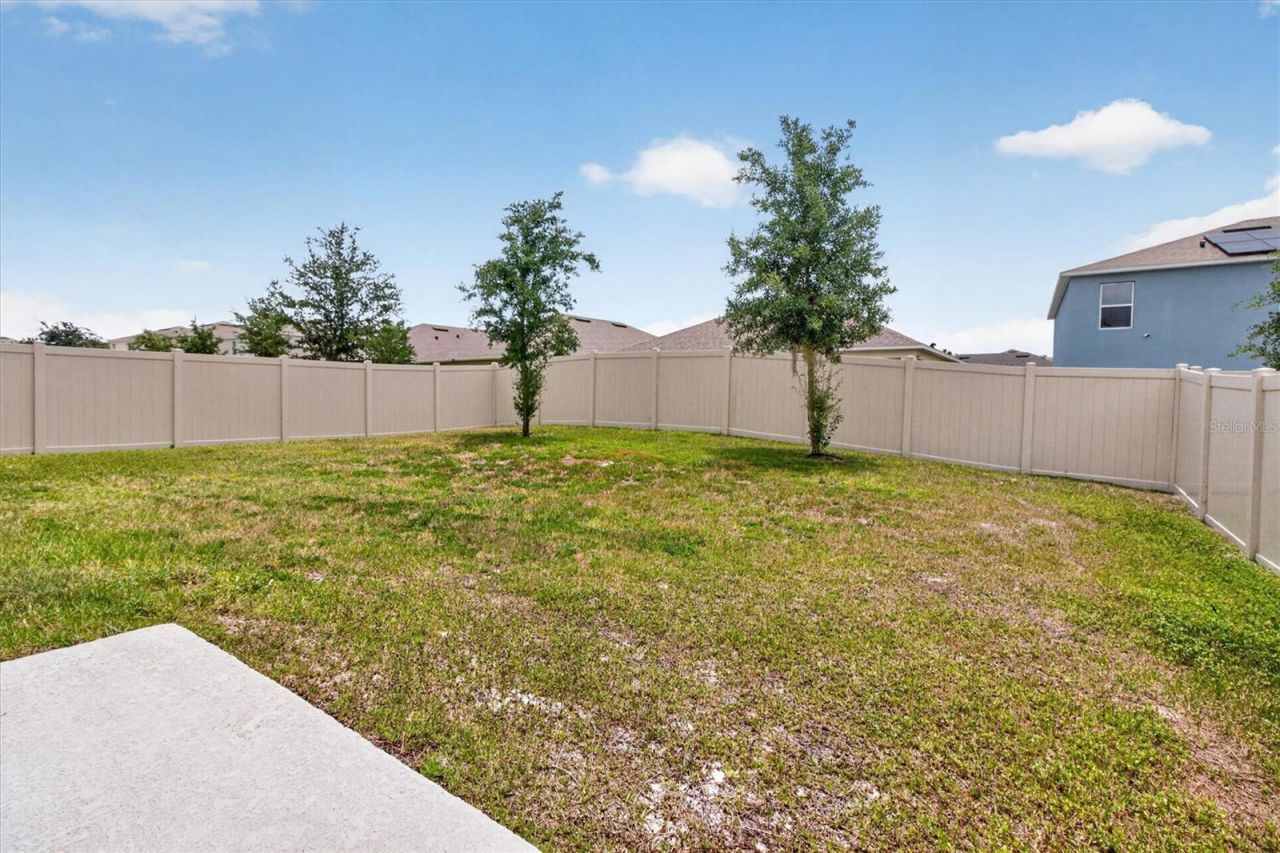 11112 Amber Ridge Drive, Zellwood, FL 32798 Photo