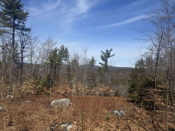 8 Wakefield North Road, Wolfeboro, NH 03894
