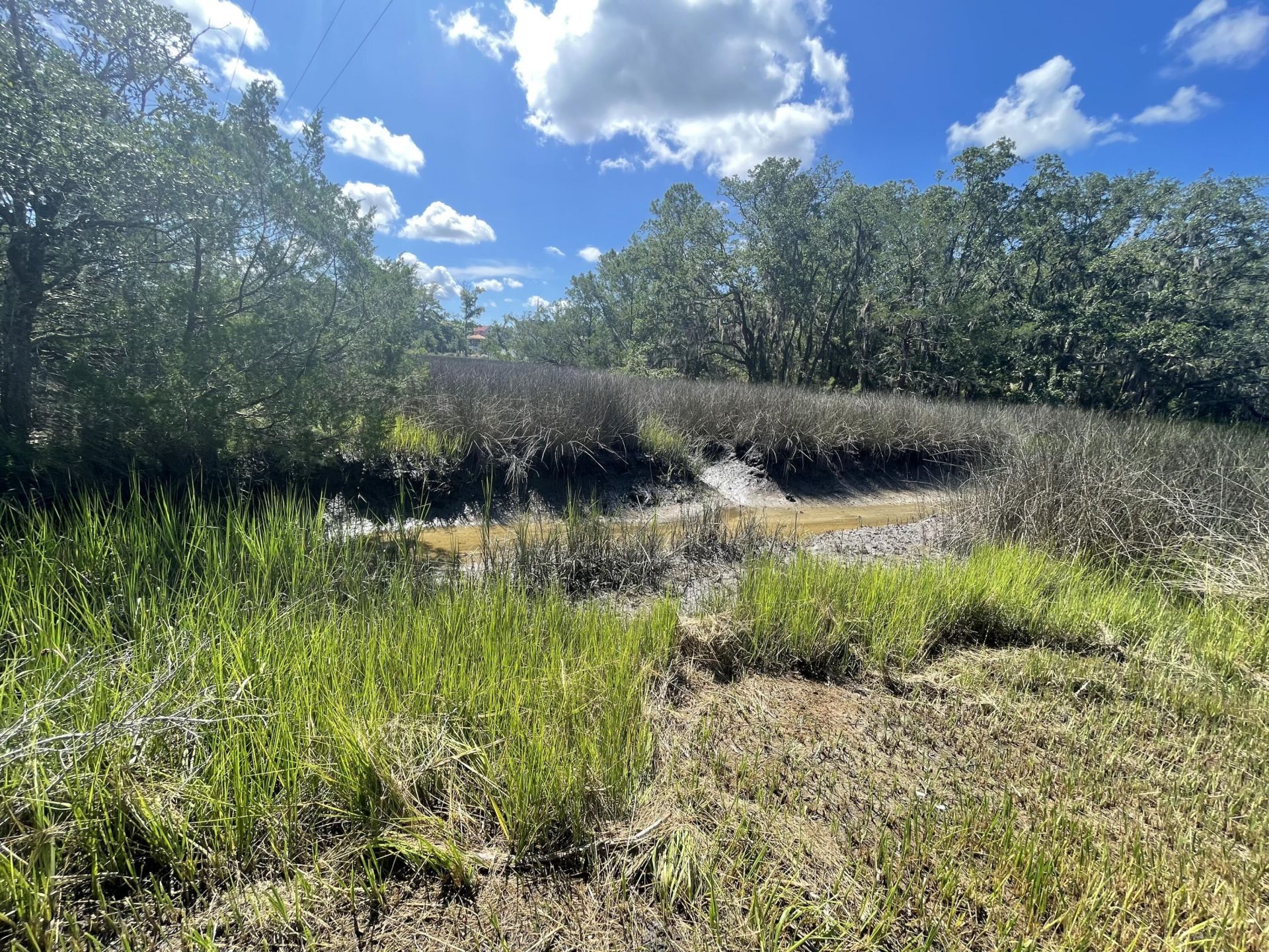 15014 Bennetts Point Road Photo 24